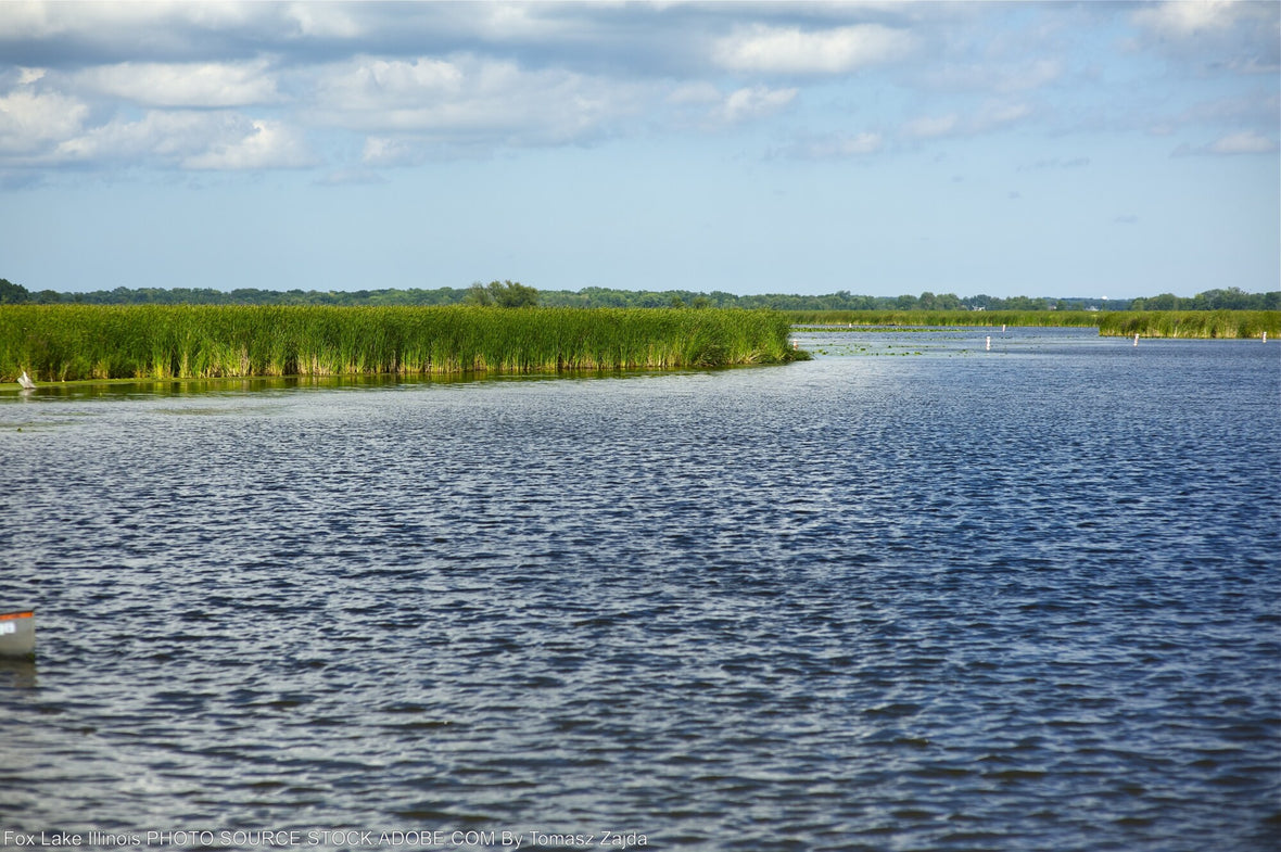 Top 8 Lakes to Visit in Illinois