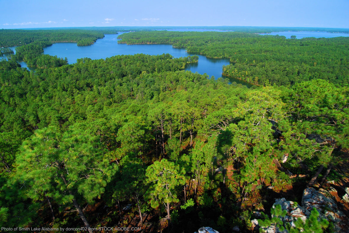 Top 10 Best Lakes to Visit in Alabama