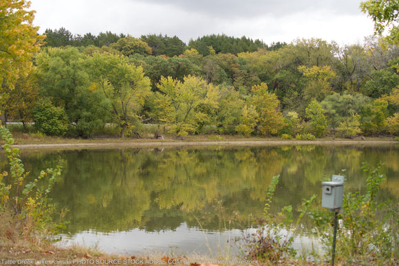 Top 8 Lakes to Visit in Kansas
