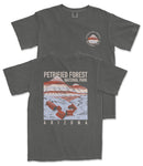 a gray t-shirt with a graphic design depicting a mountain range and a small building, along with the text "PETRIFIED FOREST NATIONAL PARK ARIZONA".