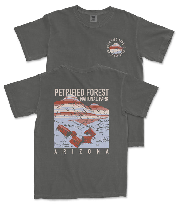 a gray t-shirt with a graphic design depicting a mountain range and a small building, along with the text "PETRIFIED FOREST NATIONAL PARK ARIZONA".