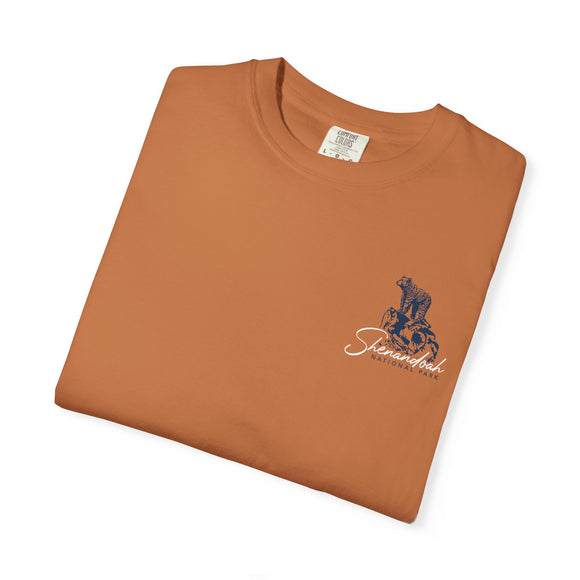 Copy of Copy of Copy of Unisex Garment-Dyed T-shirt