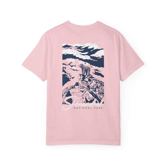 Copy of Copy of Copy of Unisex Garment-Dyed T-shirt