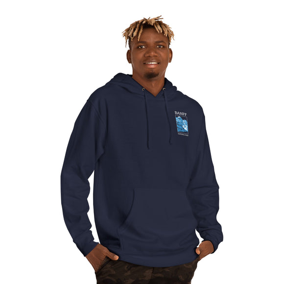 Copy of Copy of Unisex Hooded Sweatshirt
