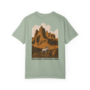 Copy of Unisex Garment-Dyed T-shirt-14