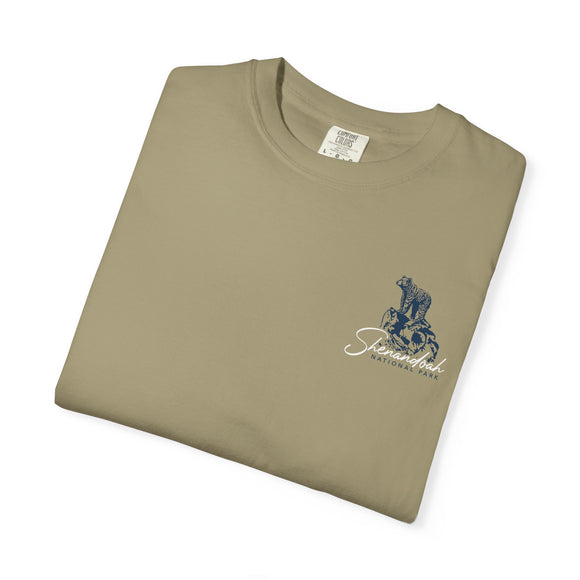 Copy of Copy of Copy of Unisex Garment-Dyed T-shirt