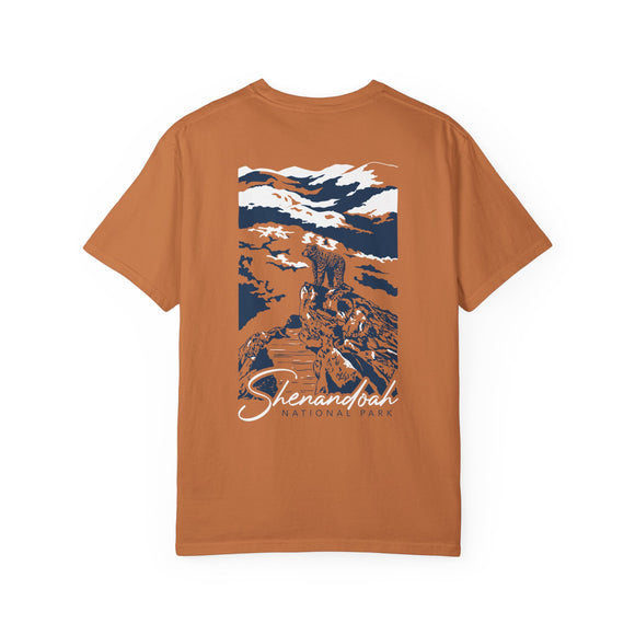 Copy of Copy of Copy of Unisex Garment-Dyed T-shirt