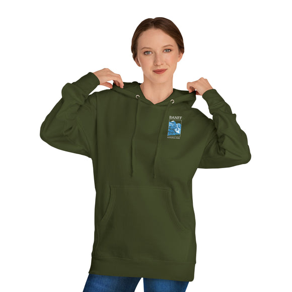 Copy of Copy of Unisex Hooded Sweatshirt