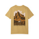 Copy of Unisex Garment-Dyed T-shirt-10