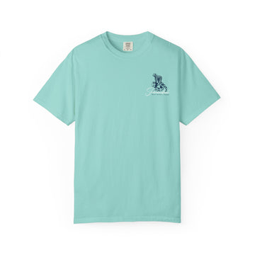 Shenandoah National Park Virginia T-Shirt