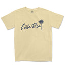 a t - shirt with a palm tree and the word costa rica on it