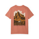 Copy of Unisex Garment-Dyed T-shirt-6