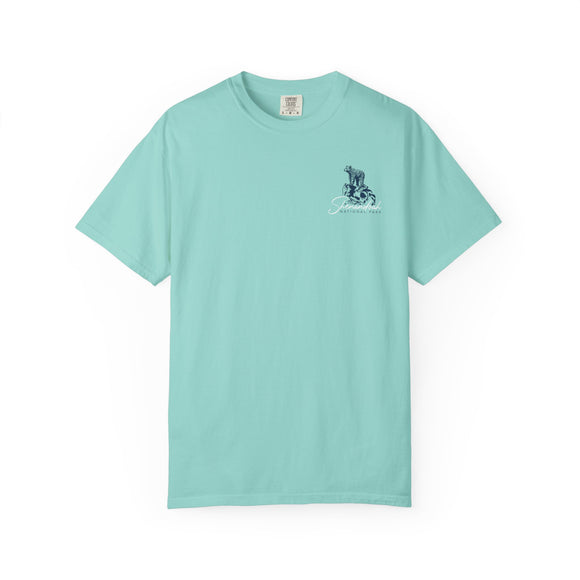 Copy of Copy of Copy of Copy of Copy of Copy of Copy of Unisex Garment-Dyed T-shirt