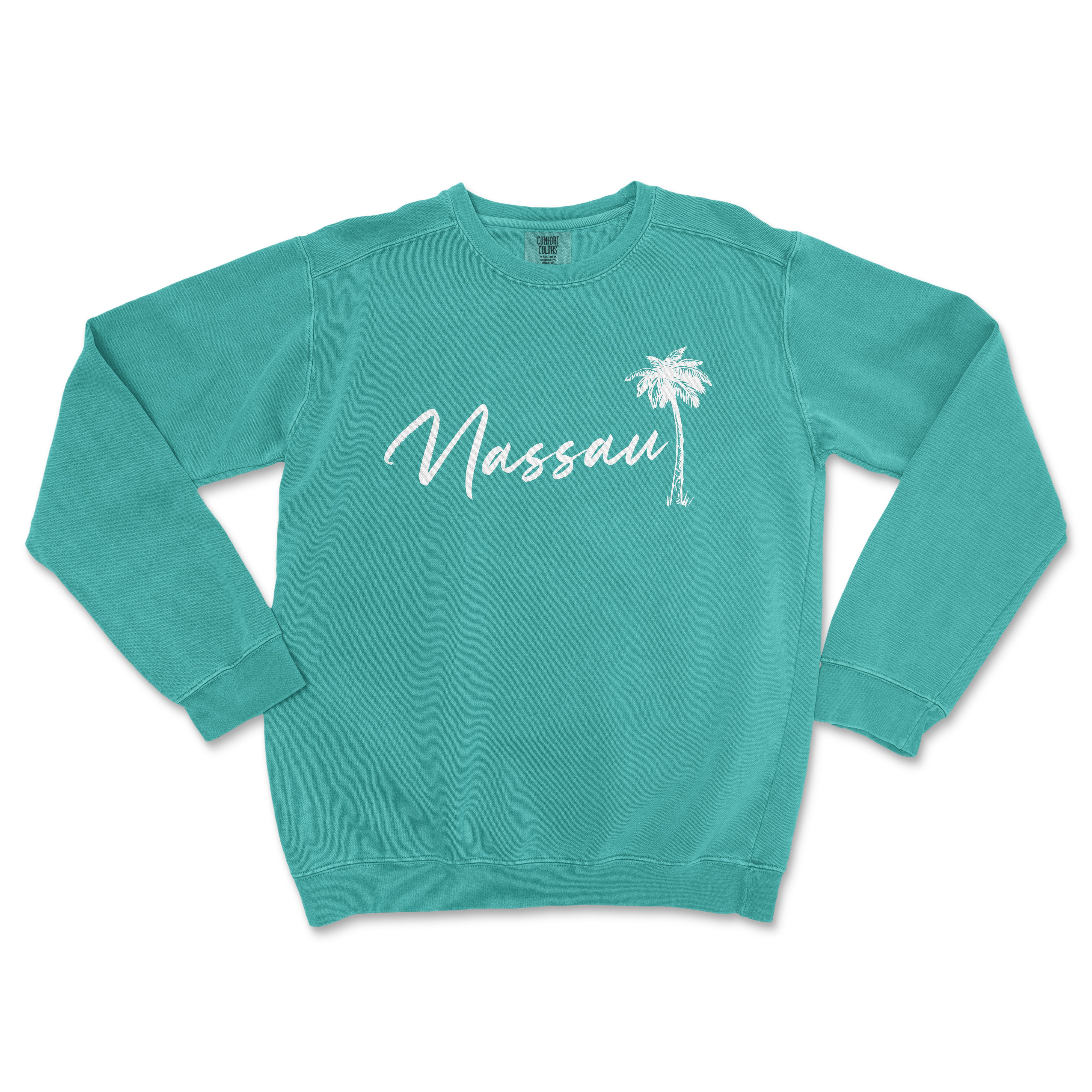 a turquoise sweatshirt with a palm tree on it