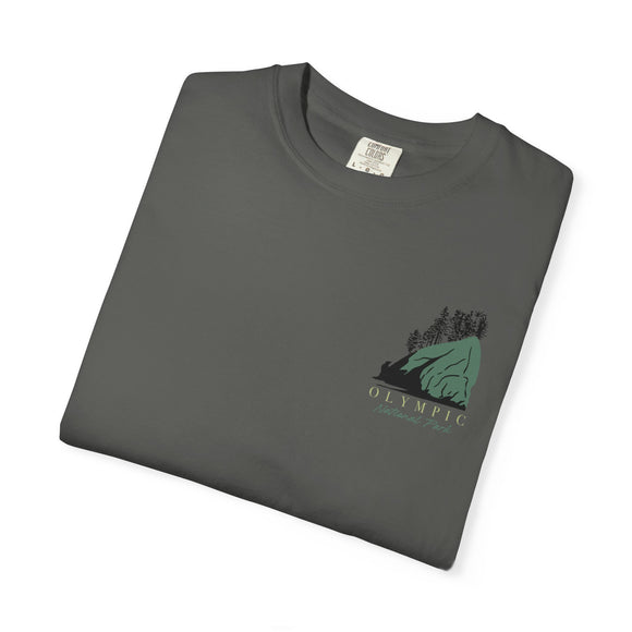 Copy of Copy of Unisex Garment-Dyed T-shirt