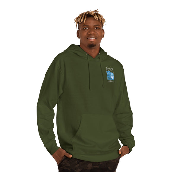 Copy of Copy of Unisex Hooded Sweatshirt