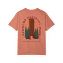 Copy of Copy of Copy of Copy of Copy of Copy of Copy of Copy of Unisex Garment-Dyed T-shirt-12