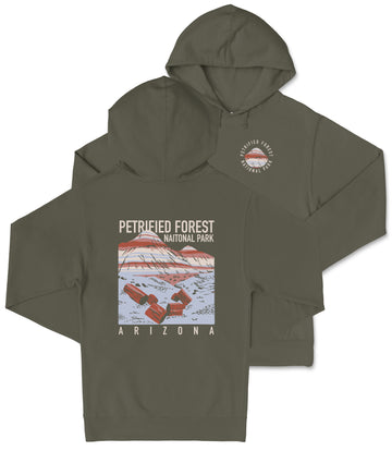 A gray hooded sweatshirt with a graphic design depicting a scenic landscape, including mountains and a body of water. The text on the sweatshirt reads "PETRIFIED FOREST NATIONAL PARK ARIZONA".