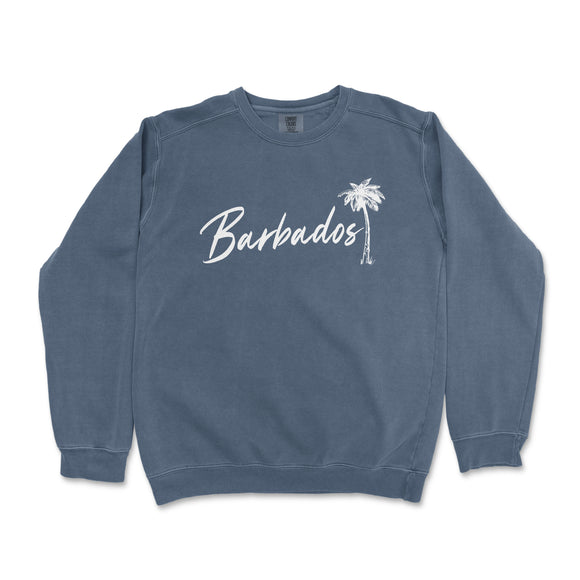 a blue sweatshirt with the word barbatos printed on it