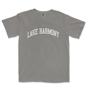 a gray lake harmony t - shirt on a white background
