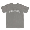 a gray t - shirt that says winnapaug pond